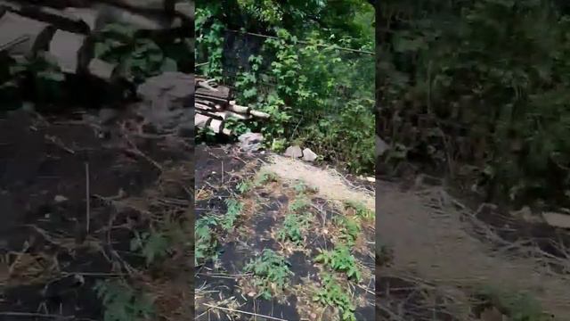 День рождения Влада смотреть онлайн