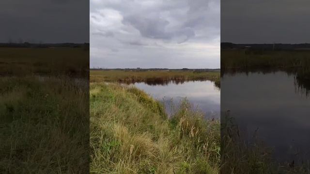 Охота с ирландским сеттером, осень 2021г. смотреть онлайн