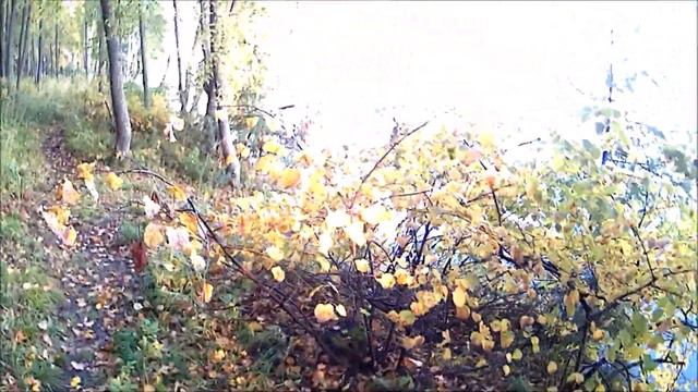 Двухдневная рыбалка на острове//Неожиданная гостья смотреть онлайн