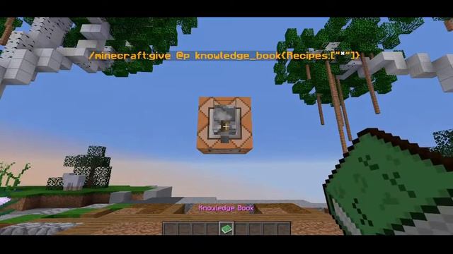 Packet Processing Glitch 1.16.5 Working смотреть онлайн