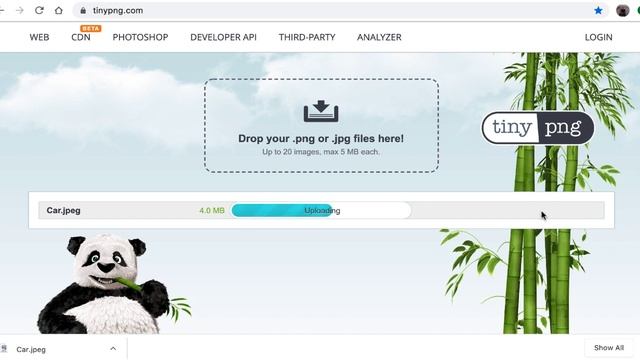 How to shrink an image using tinypng.com смотреть онлайн