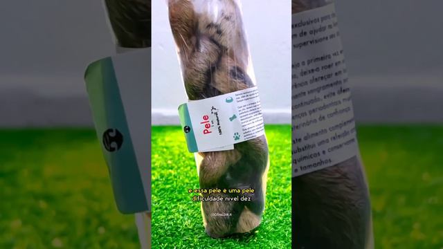 Desidratados para cães, você já conhece os benefícios? Siga em nossas redes sociais pra aprender смотреть онлайн