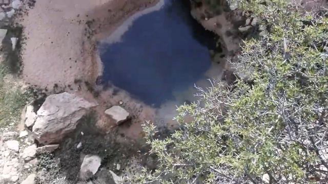 10 мая. Большой змей. Верблюды. В поисках озера... смотреть онлайн