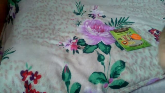 Пустые баночки для собак и кошек ( часть2) смотреть онлайн