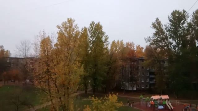 Роза смотрит в окно. смотреть онлайн