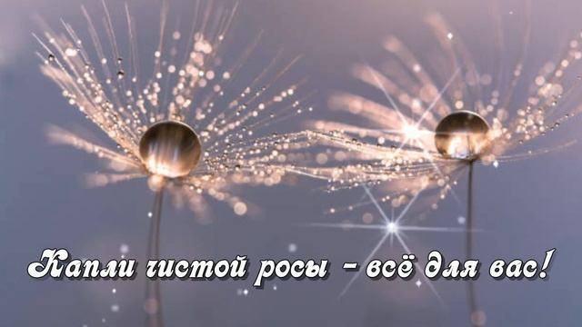 Я дарю вам кусочек лета... смотреть онлайн