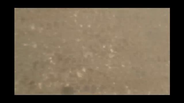 Летнее утро на Каспии смотреть онлайн