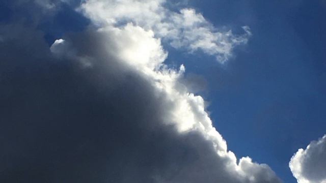 5 Minute Micro Meditation смотреть онлайн