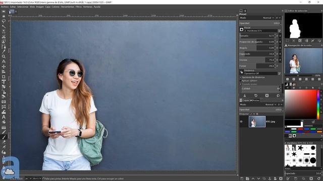 GIMP 2.10 Curso AVANZADO ▶▶ 13. El editor de selección смотреть онлайн