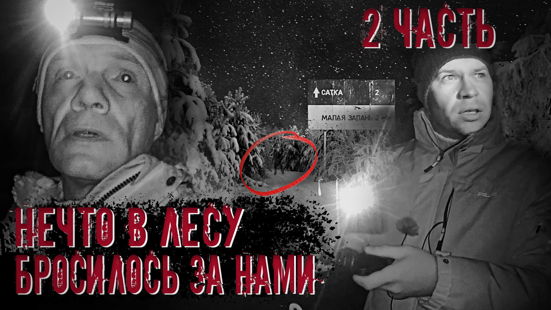 Нечто в лесу бросилось за нами. (2 часть) смотреть онлайн