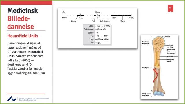 MAM11 - Introduktion til DICOM og segmentering смотреть онлайн