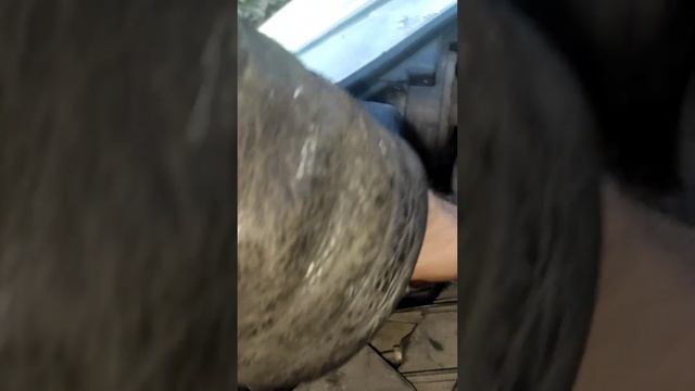 Ford Escape (вариант #2) смотреть онлайн