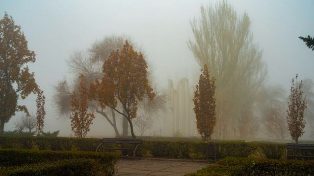 Туман в Запорожье. 06.11.21 смотреть онлайн