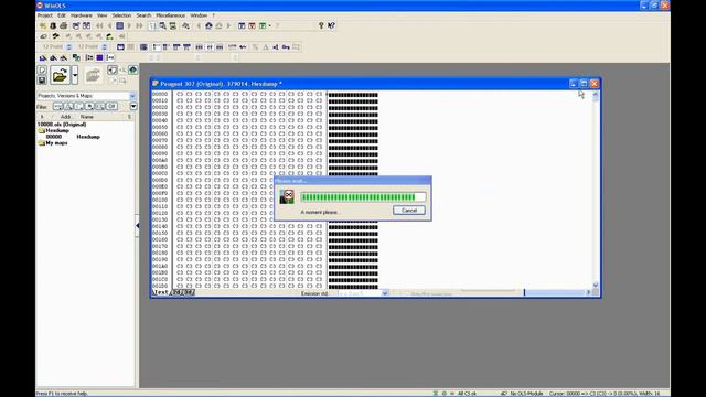 Supprimer EGR 307 HDI