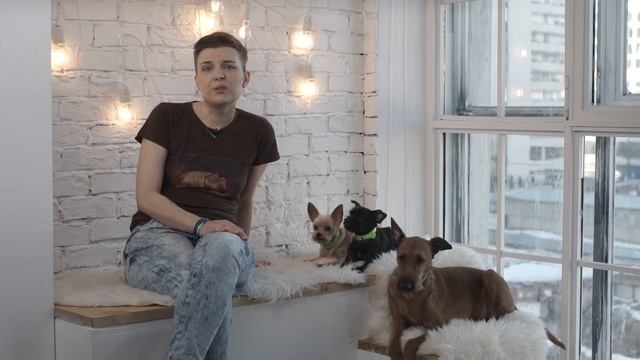 Как отучить собаку лаять одну дома? смотреть онлайн