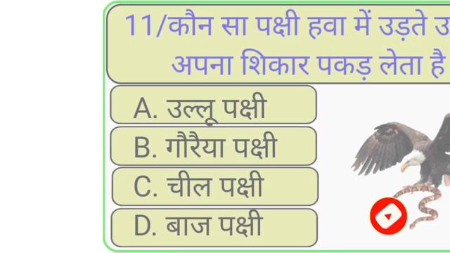 Quiz, महिलाओं के किस अंग में जहर की मात्रा पाई जाती है ? || Gk Questions And Answers
