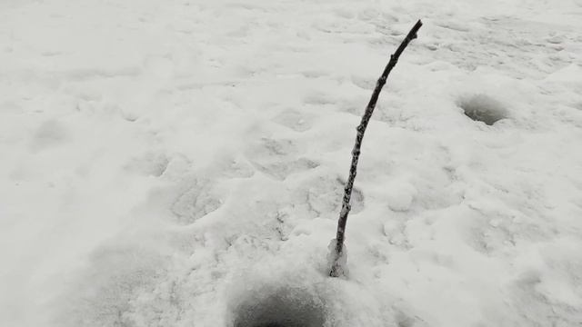 зимняя рыбалка на безмотылку - ловим плотву на Упе смотреть онлайн