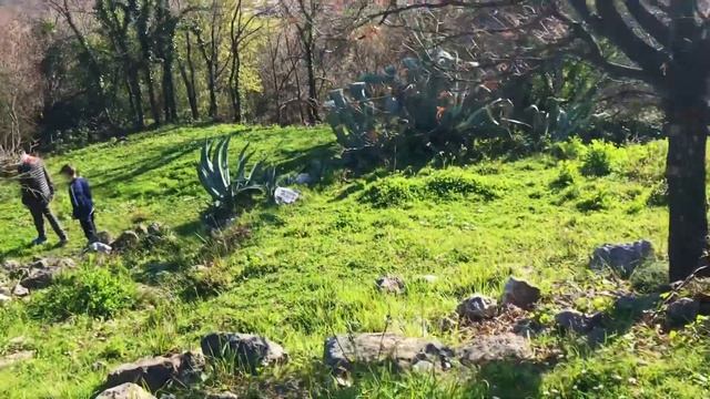 Как в локдаун отметить День рождения ? | Черногория март 2021 смотреть онлайн