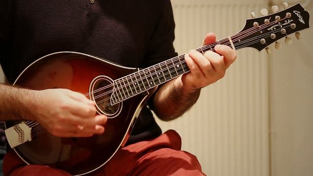 Irish mandolin tune. The Spare Leg (polka) смотреть онлайн