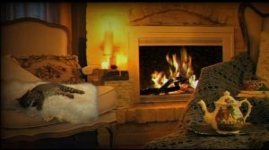 Безмятежный сон, релакс, камин, мурчание кота. Relax nights