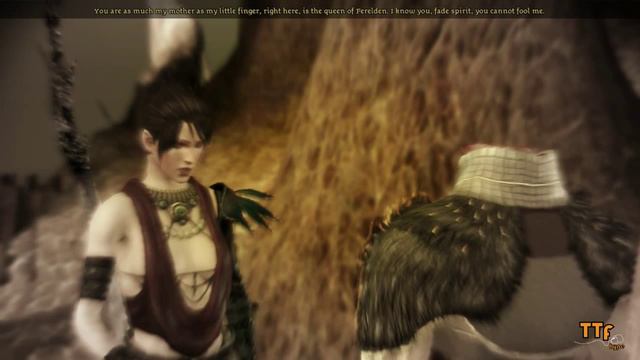 Dragon Age Origins | Best Bug Ever! смотреть онлайн