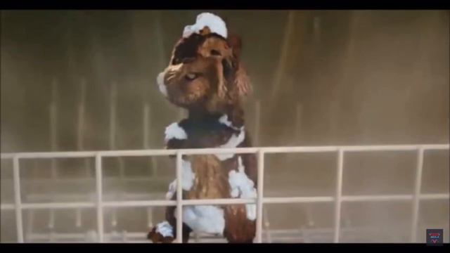 Bert Yells at Alvin and Frightens Him смотреть онлайн