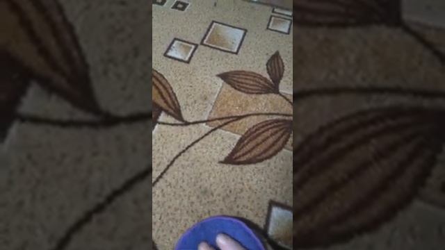 Как отчистить пятна с коврового покрытия смотреть онлайн