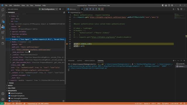 Python https requests Authentication Schemes Basic and Bearer смотреть онлайн