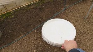 Весенние заморозки. Как защитить цветущие плодовые деревья.