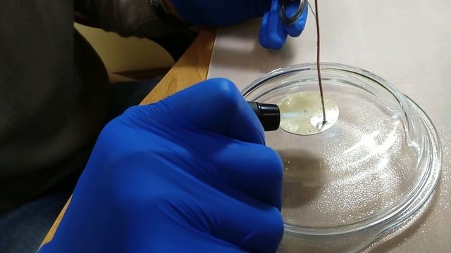 ПАЙКА НОЖЕК НА ЦИФЕРБЛАТ! МАРЬЯЖ (хомаж) ЧАСОВ? смотреть онлайн