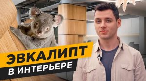 НОВЫЙ ТРЕНД в ДИЗАЙНЕ ИНТЕРЬЕРА | ЭТАЛОННОЕ ДЕРЕВО  ► Обзор шпона и текстур древесины эвкалипта