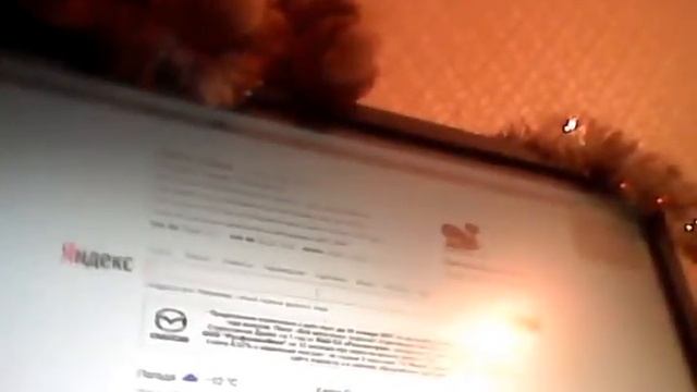 Я завтра уежаю в Кузнецк смотреть онлайн