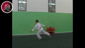 Чанцюань 46 форм