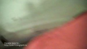 Обзор одноместной палатки Settler от магазина «Сплав»