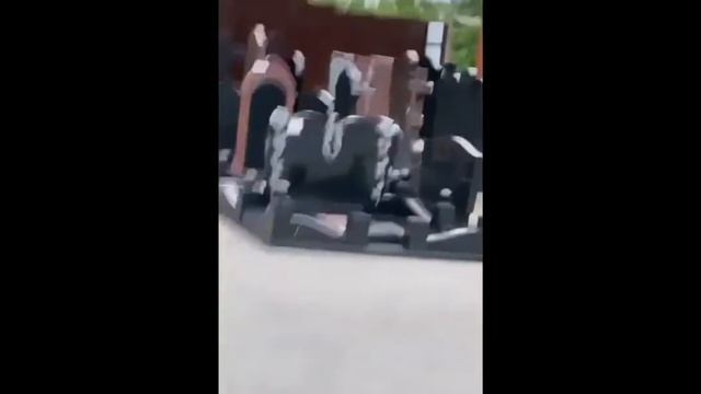 алишер съел кошку смотреть онлайн