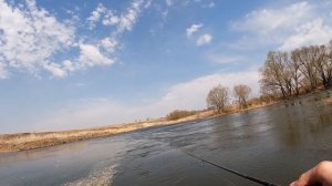 Как ловить жереха на малой реке. Монстр на ультралайт, такого я не ожидал