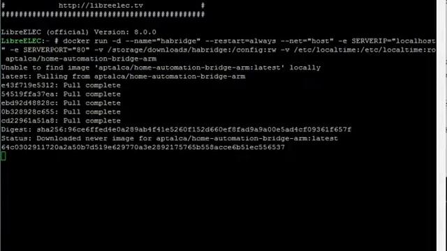 Running ha-bridge inside LibreELEC on your Pi2/3 смотреть онлайн