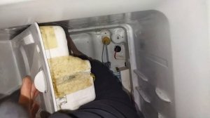 Не работает холодильник а морозилка работает, холодильник самсунг.