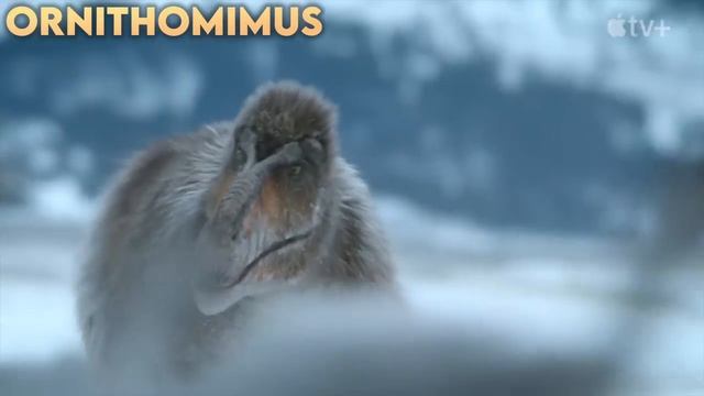 29 SPECIES! All 29 Dinosaurs & Others Named In The New Prehistoric Planet Season 2 Trailer смотреть онлайн