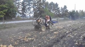 Уборка кукурузы Мотоблоком переделанный в минитрактор