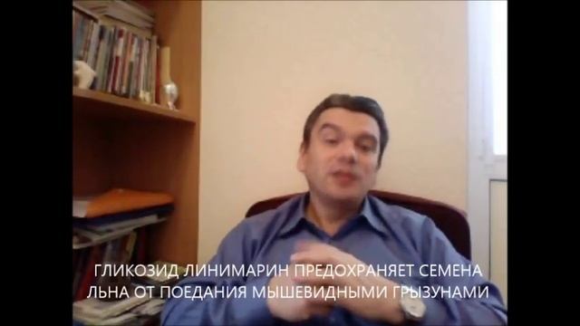 Лечение семенами льна: похудение, гастрит, запор, диабет, очищение! Польза, вред, отзывы? смотреть онлайн