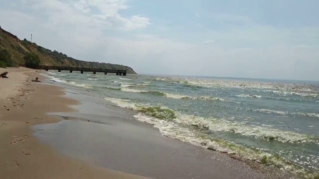 Дохлая рыба на берегу р. Волга смотреть онлайн