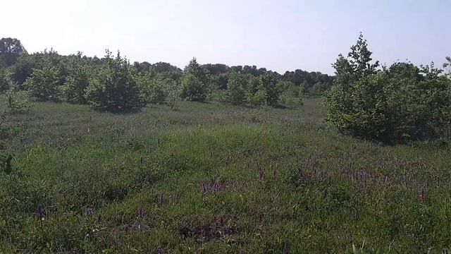 Вулканы Камчатки. Авачинский и Корякский. 12.07.2018. смотреть онлайн