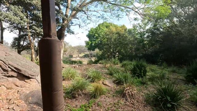 Kilimanjaro Safari 4K POV Animal Kingdom Walt Disney World part 1 смотреть онлайн