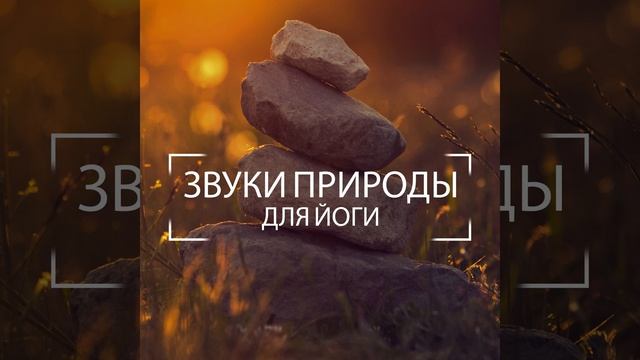 Пробуди свой потенциал смотреть онлайн