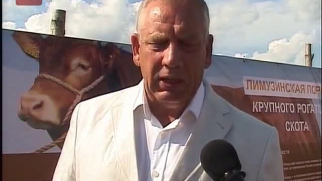 Проект по выращиванию коров новой породы смотреть онлайн