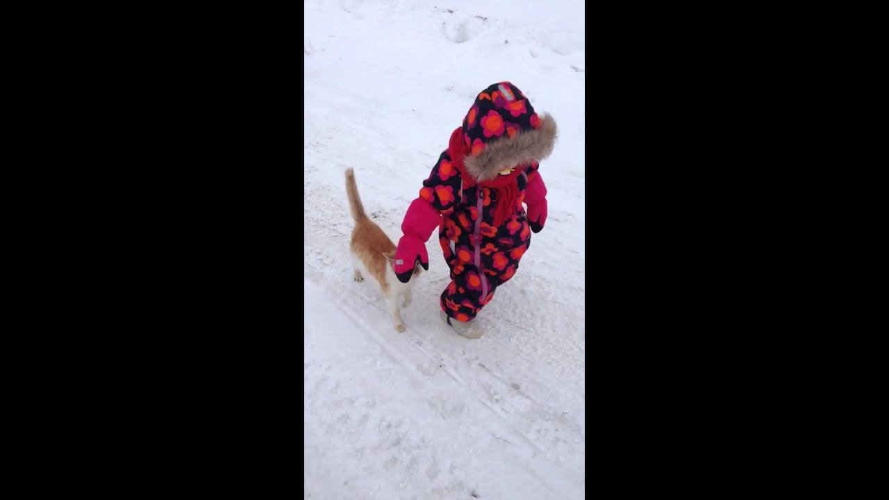 Cat Boby Slams A Kid смотреть онлайн