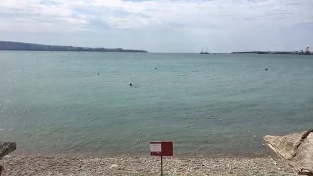 ГЕЛЕНДЖИК. Погода 19 июля 2019г. Дельфины! смотреть онлайн