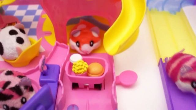 Хома Дома общий