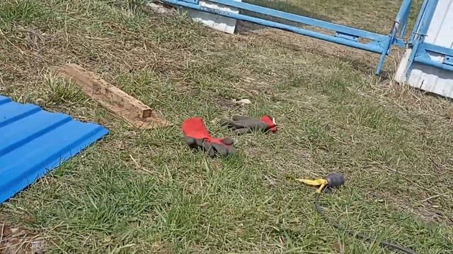 I finally have fixed my gate. Vacation in Russian village. Vlog. Day 3 смотреть онлайн